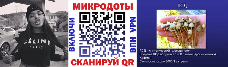 Галлюциногенные грибы мицелий Трубчевск